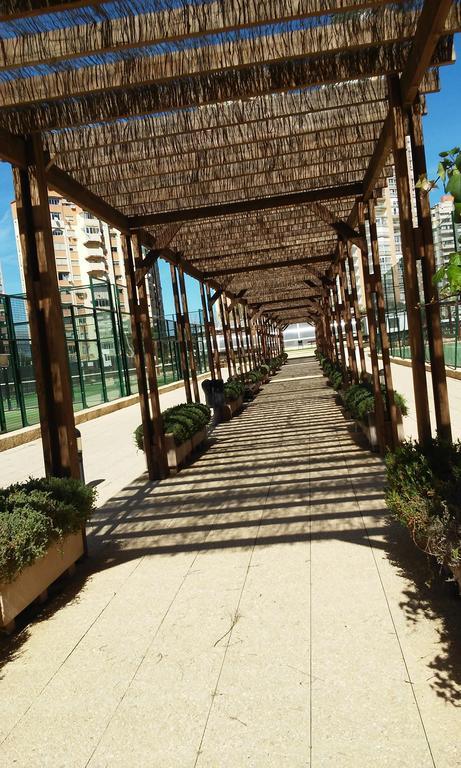 Apartment Carmentxu Gemelos 26 بينايدورم الغرفة الصورة