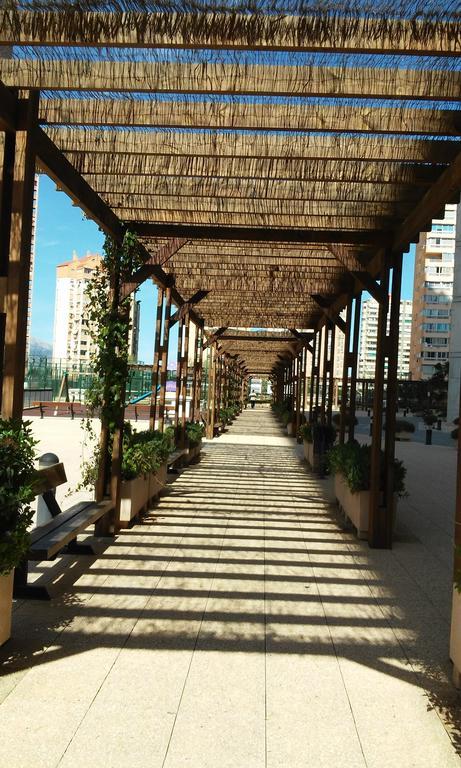 Apartment Carmentxu Gemelos 26 بينايدورم الغرفة الصورة