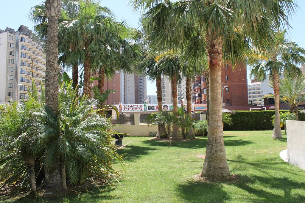 Apartment Carmentxu Gemelos 26 بينايدورم الغرفة الصورة